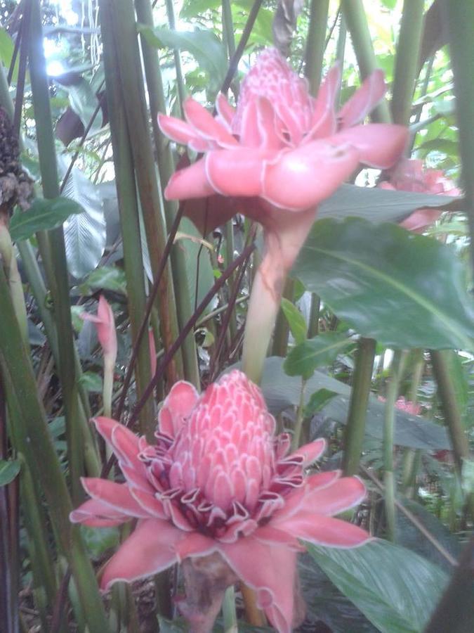 Villa Butterfly Moragalla Luaran gambar